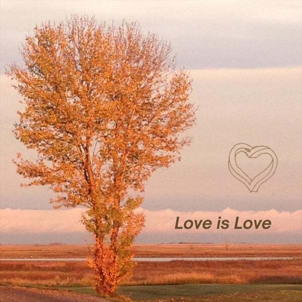 Cover art for Love Is Love