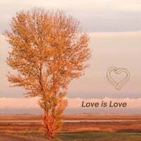 Love Is Love